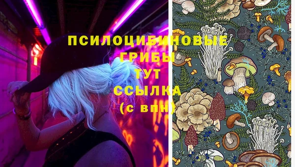 гашишное масло Белокуриха