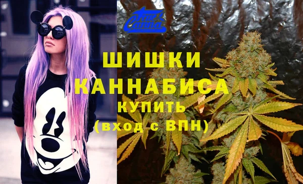 а пвп мука Рославль